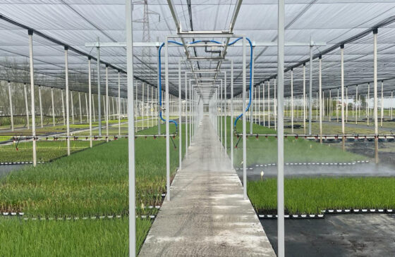 DaRos Outside Irrigation Boom