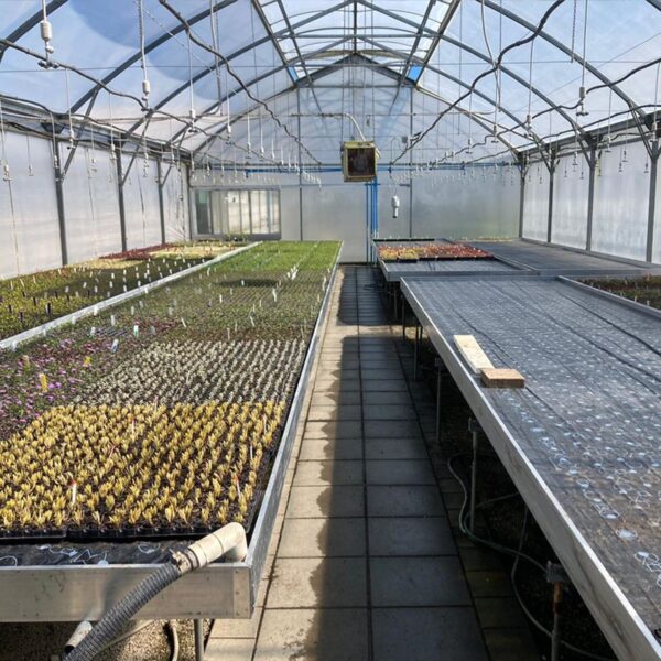 Heated Bench System