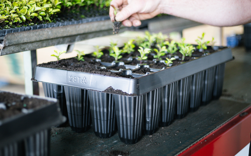 Conveyors & Transplant Belts