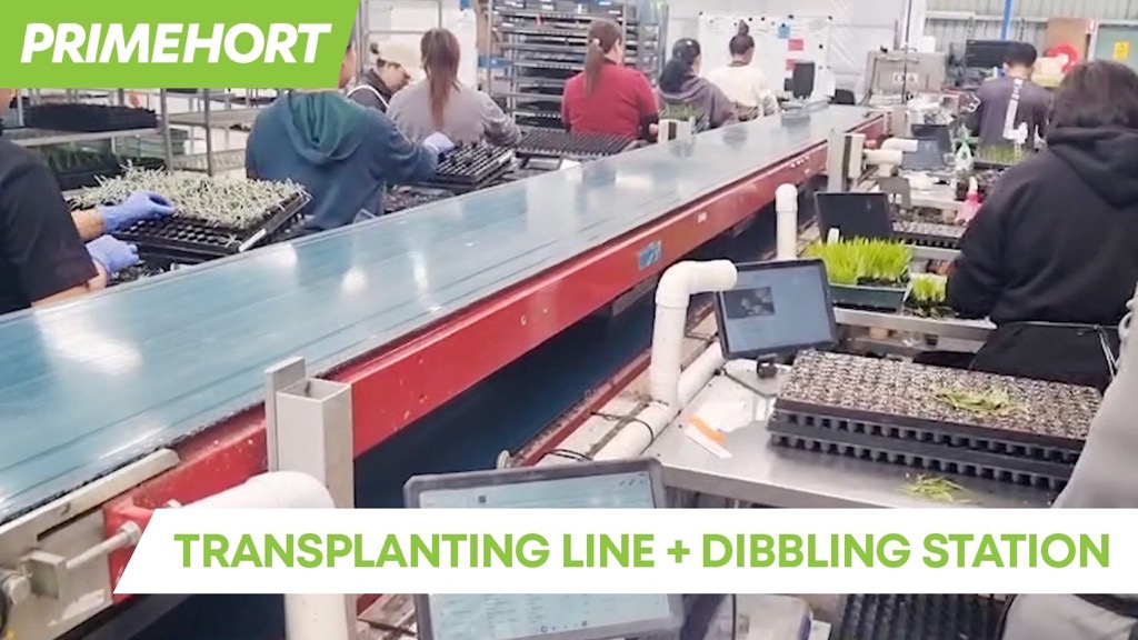 Da Ros Transplanting Line